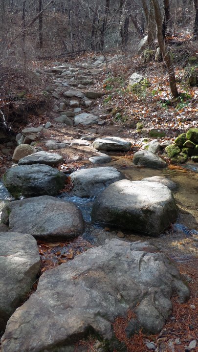 登山道は整備はされていません。渓流と並行して進み、このような潺を何度か渡ります。