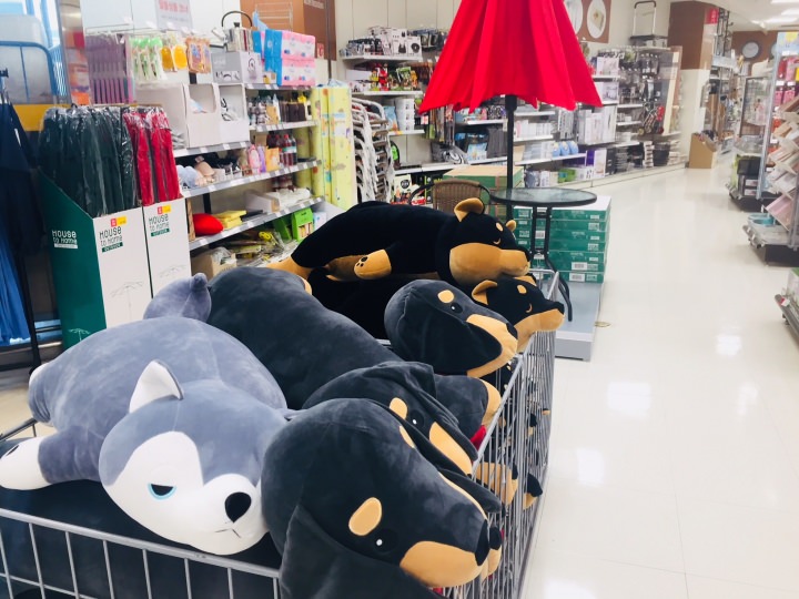 ぬいぐるみの後ろはアウトドア用品