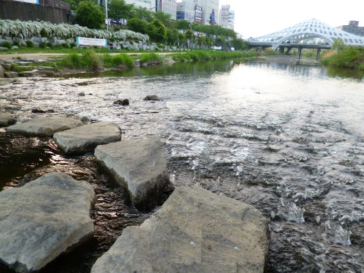 何度も立ち止まって写真を撮りました。童心に返りますね^^