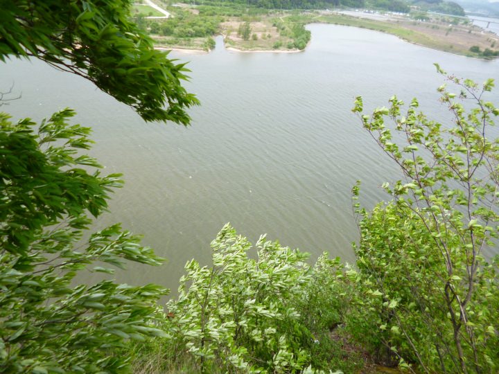 飛び降りるなんて、無理です。