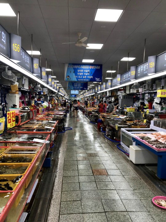 お店の看板がこんな風に変わってた