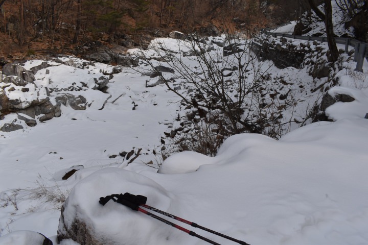 このストックが持ち歩きには邪魔なんですがね、大いに役に立ってくれるのです。命のストックです。
