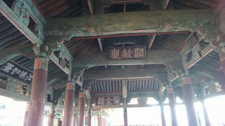 上手く撮れません・・