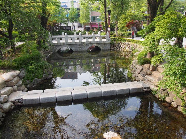 きれいな水でした。