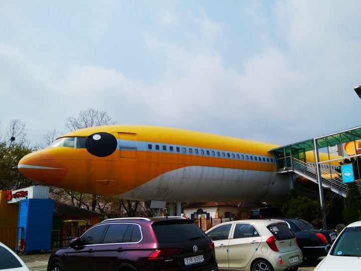 飛行機が見えます。