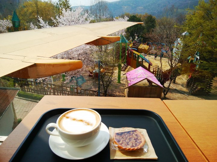 翼を眺めながら