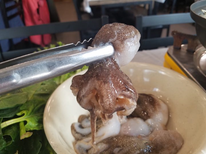 Ｗ10,000で4匹のチュクミ