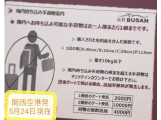 エアプサン 機内 持ち込み ハンドバッグ