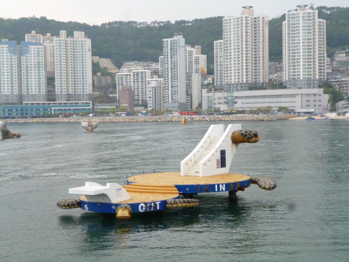 亀の飛び込み台…私には無理です。