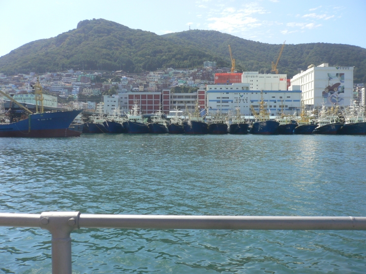 たくさんの漁船が停泊しています。