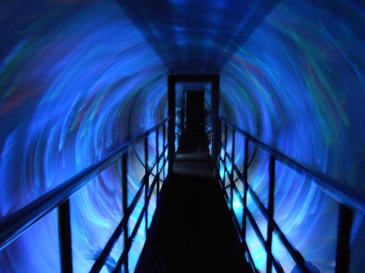 謎のワープゾーン。