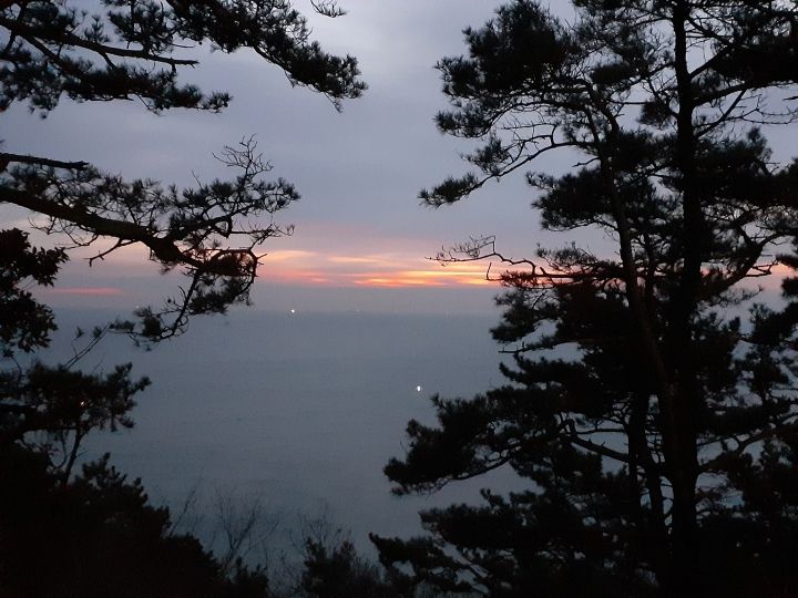 ７時　灯台までの道中