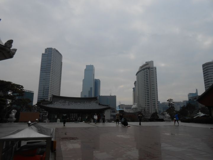 すぐ横にはビル群が…不思議な光景です。