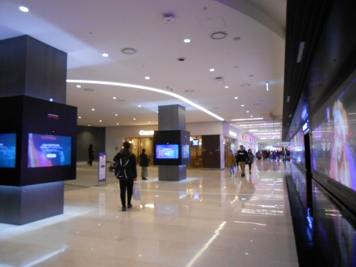 広い!ずっと先まで見えません。