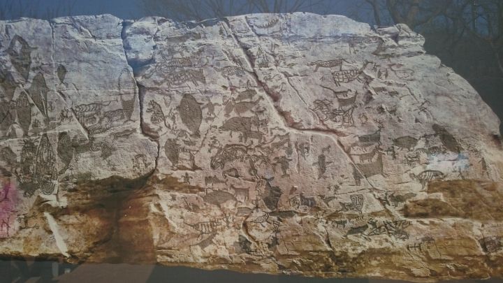 こんな壁面です(案内板より)