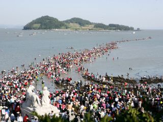 韓国海苔キンパ用300枚(生産地　: 全羅南道　珍島（チョンラナムド　チンド） 韓国海苔キンパ用100枚(韓国 全羅南道 珍島（チョンラナムド チンド