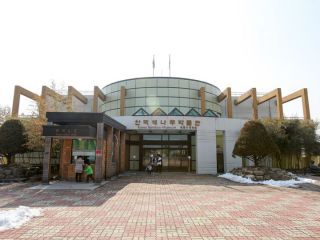 thumb_b37e8b8598b54911e923dc8e