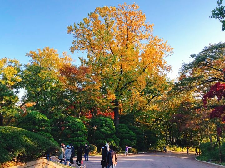 秋の見学が最適です