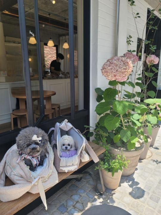 392646377d08a8c091eb97ed15fe14