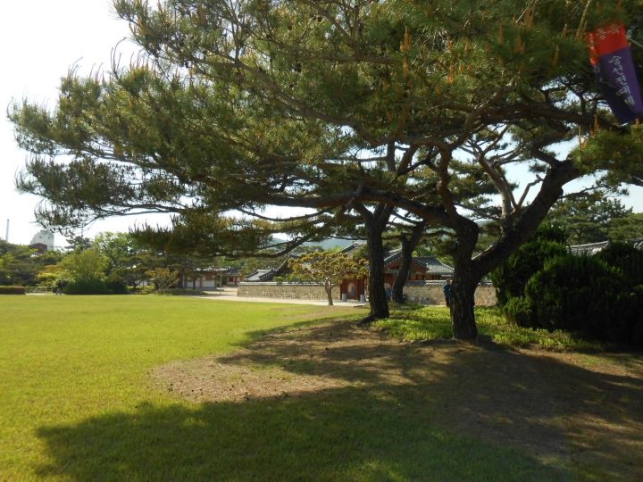 樹木が美しいです。