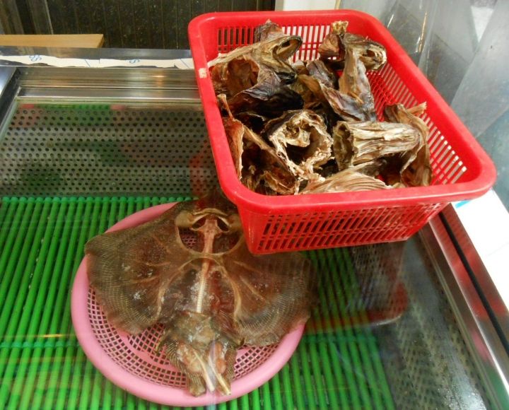エイリアンみたいな干物と、大きな魚の頭の干物?良い出汁が出るのでしょうか?