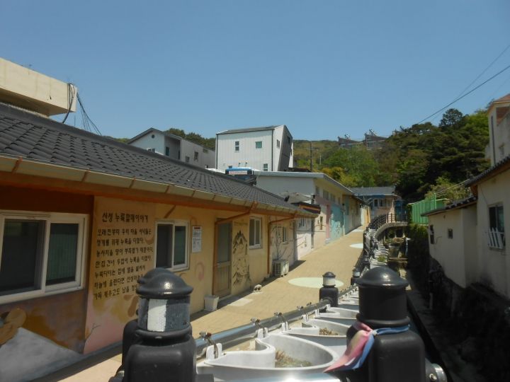 金井山城マッコリマウル。