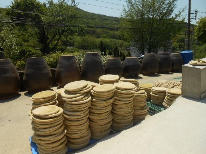 黄色の麹の花が付着しているのが分かりました。何か穏やかな光景です。