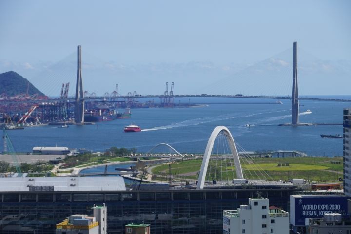 釜山港も見えます