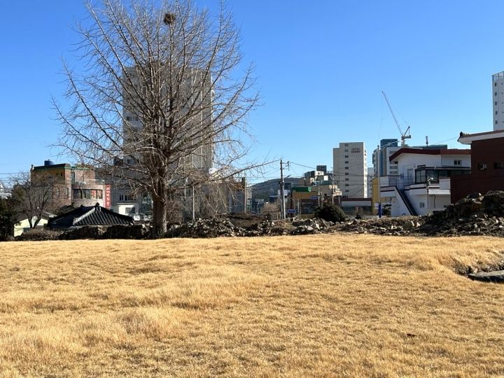 完成が楽しみです