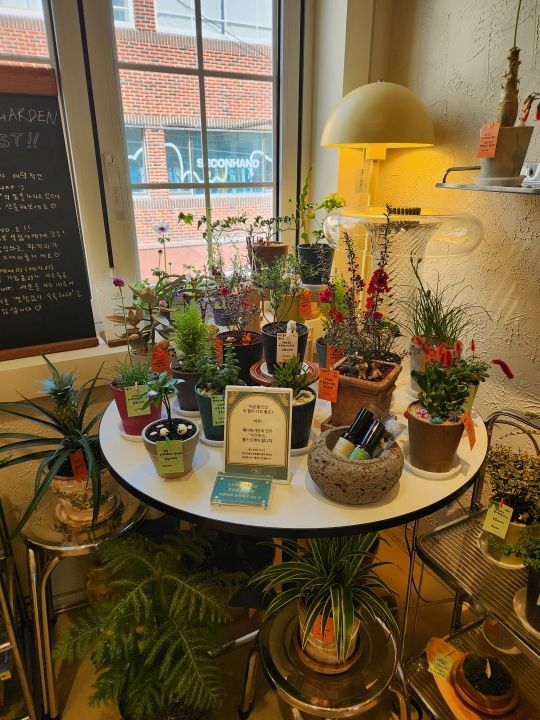 器がかわいい～