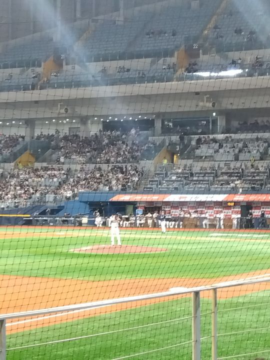 座席からの眺め