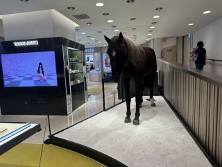 TAMBURINS ロッテ百貨店本店｜明洞(ソウル)のショッピング店｜韓国旅行「コネスト」