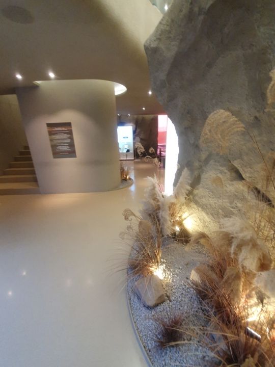 SKIN1004 フラグシップストア明洞｜明洞(ソウル)のショッピング店