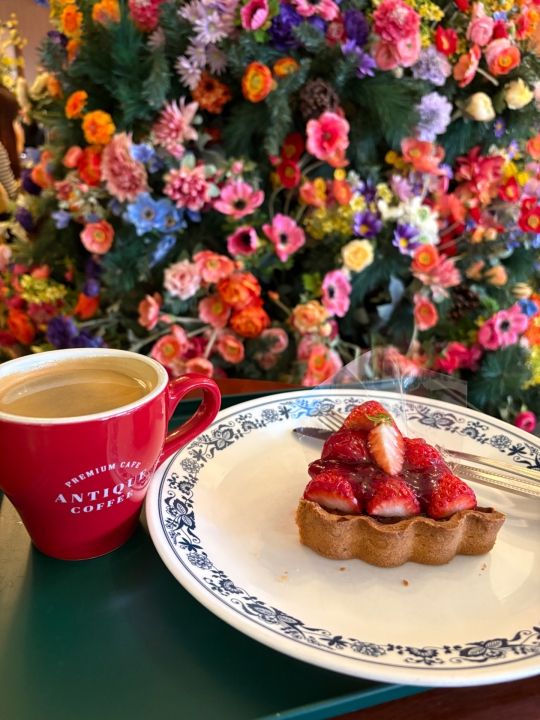 ANTIQUE COFFEE 延南店｜弘大(ソウル)のグルメ・レストラン｜韓国旅行