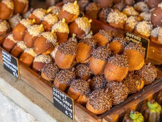 thumb_5df534316eced2647a384701