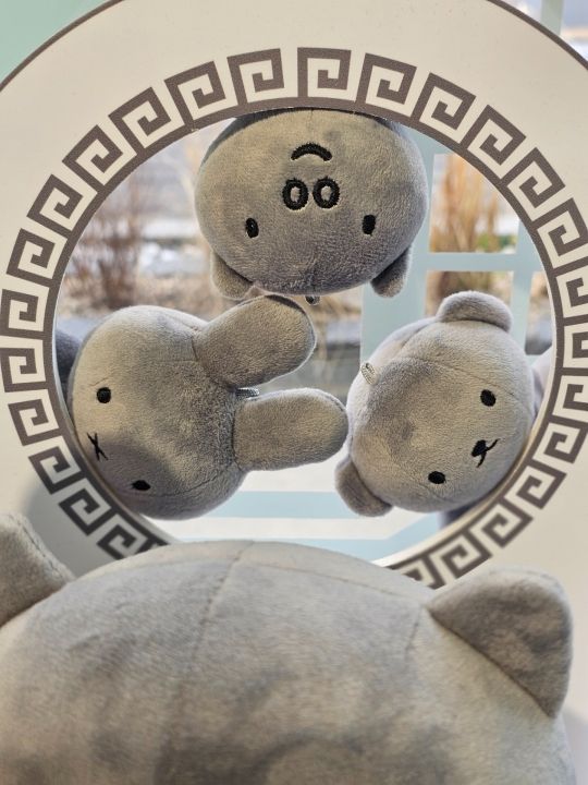 miffy store 慶州｜慶州中心部(歴史遺跡地区)(慶州)の