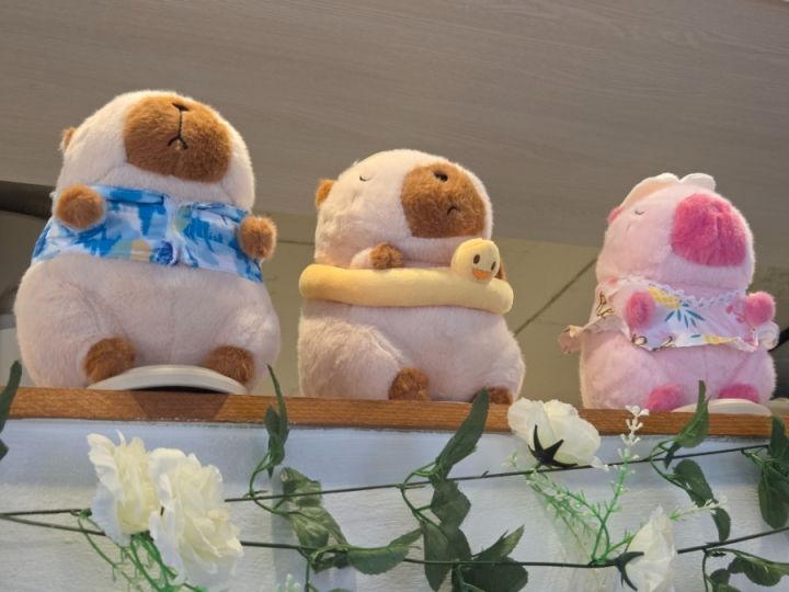 提供:naver blog@rock_y_