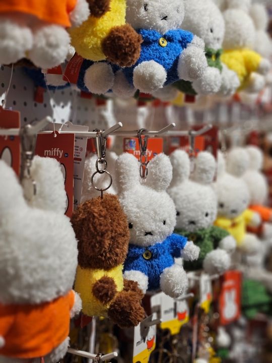 miffy store 慶州｜慶州中心部(歴史遺跡地区)(慶州)の