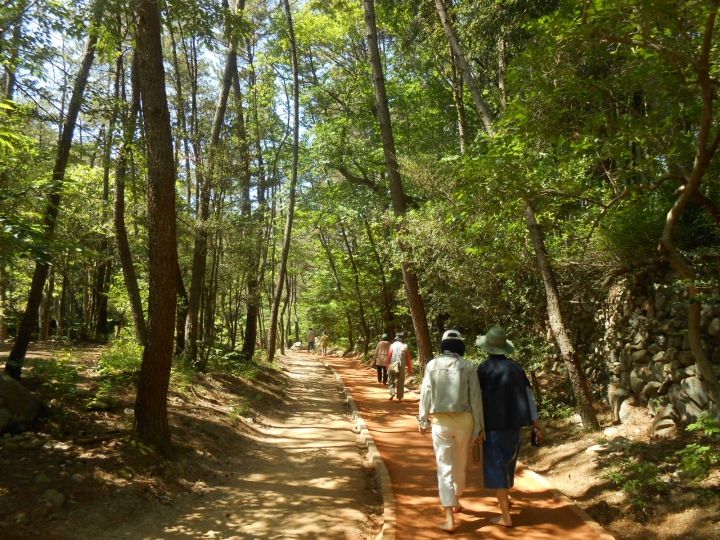 皆さんそれぞれに黄土道を楽しまれております