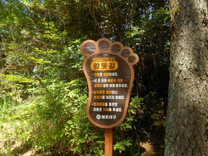 黄土道入口に到着。