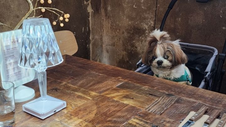 提供:naver blog@camong9092