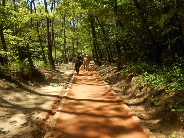 黄土には少し湿り気があり、ヒタヒタと気持ち良いです。
