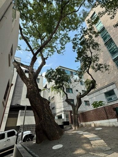 提供:naver blog@tjdqor0101