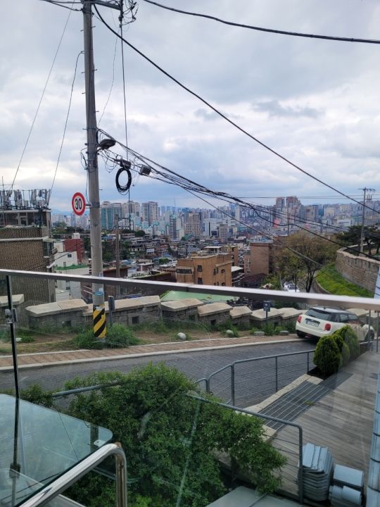 提供:naver blog@meowneow