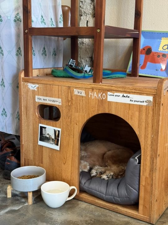 提供:naver blog@sy051013