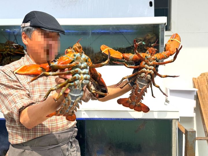 提供:naver blog@iamsamk