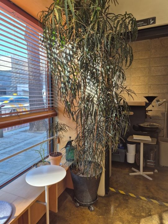 提供：naver blog@bluemonday_egghead