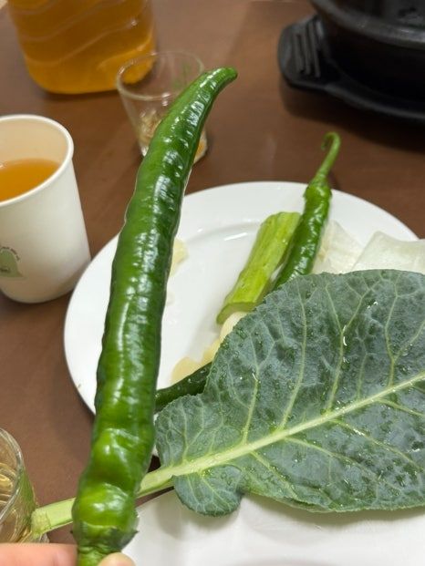 提供:naver blog@hhbin_2