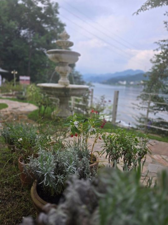 提供:naver blog@lifesaver999