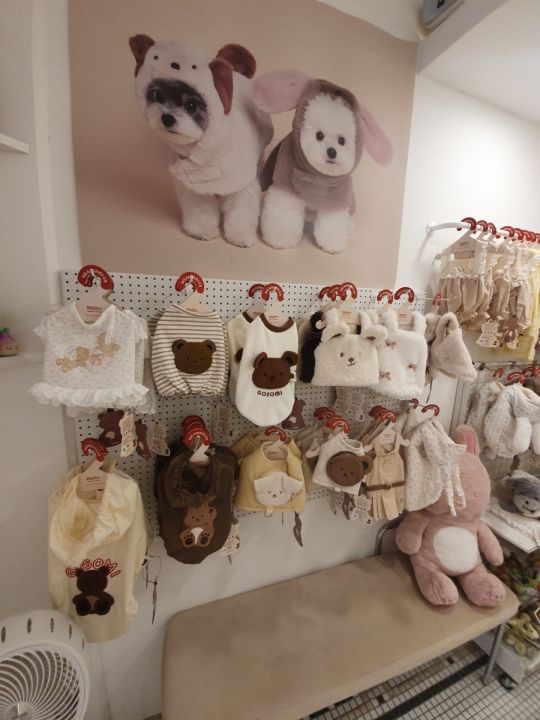 MEANINGLUS｜明洞(ソウル)のショッピング店｜韓国旅行「コネスト」